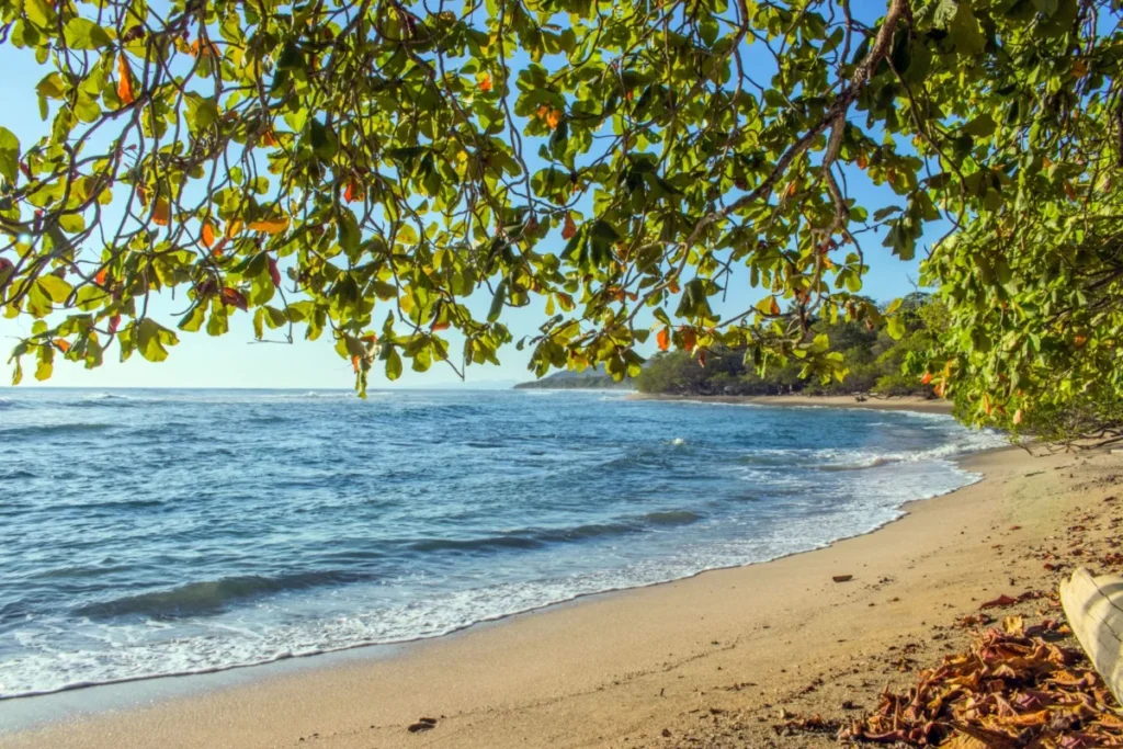 Manzanillo