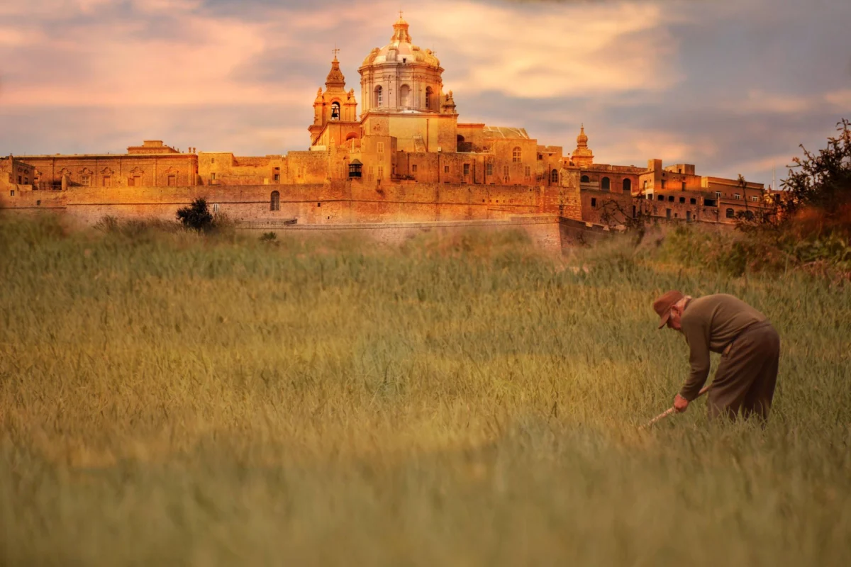 Stunning view of Mdina's historic architecture at dusk