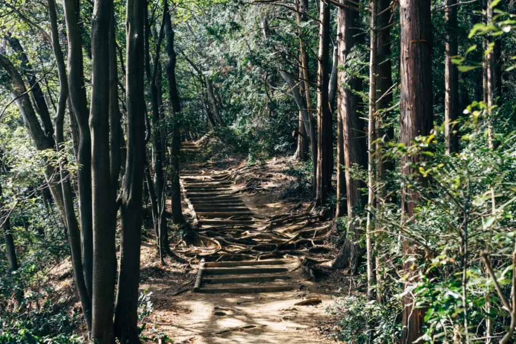 Michiru Mountain