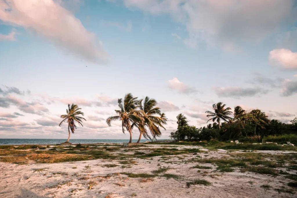 Middle Caye