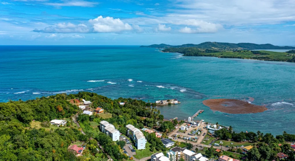 Morne Prosper