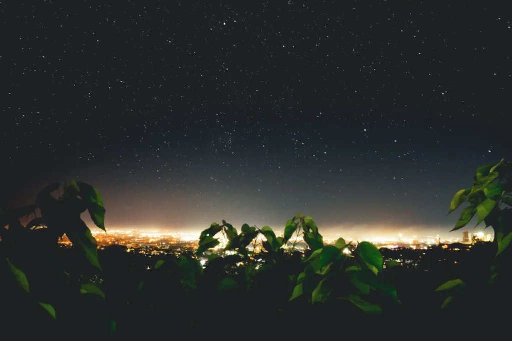Morning Star