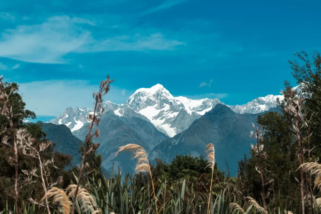 Mount Aspiring National Park Gateway