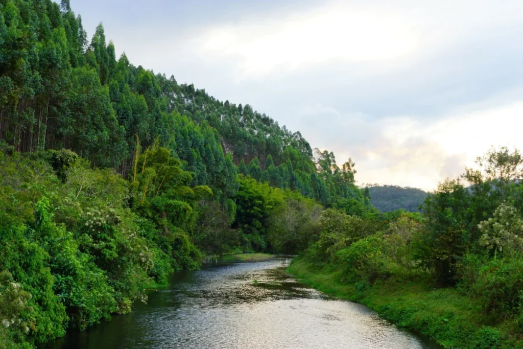 Mulunguzi Riverfront