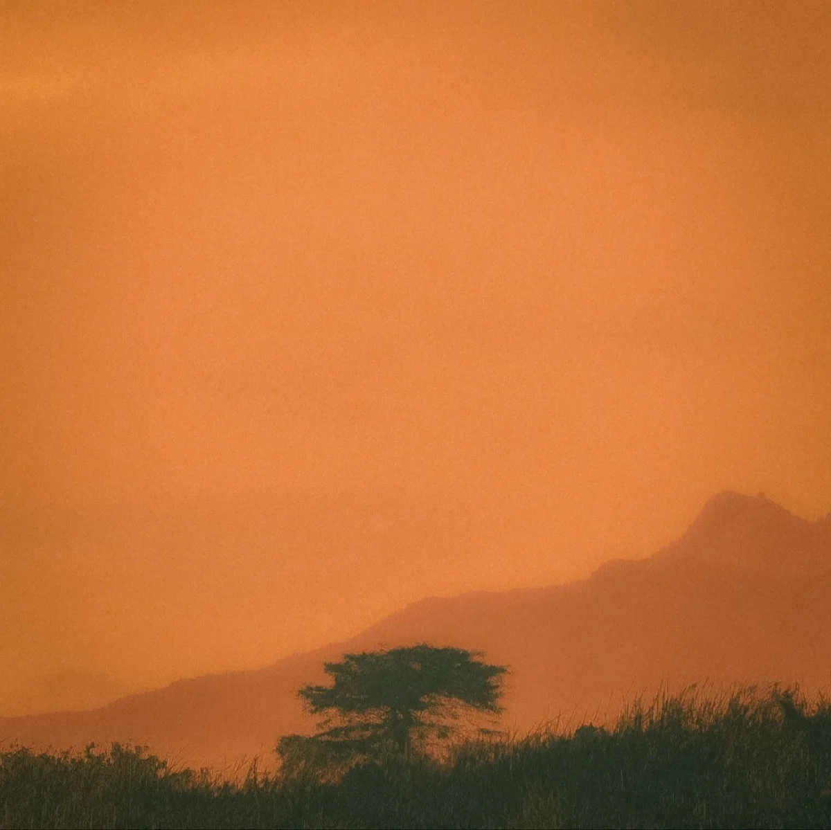 Scenic view of Musanze showcasing its unique landscape.