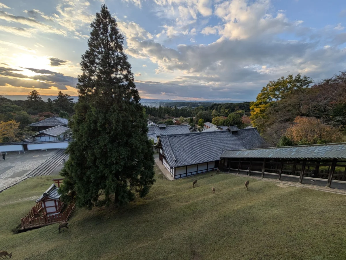 Scenic view of Nara at sunset perfect for a romantic adventure base