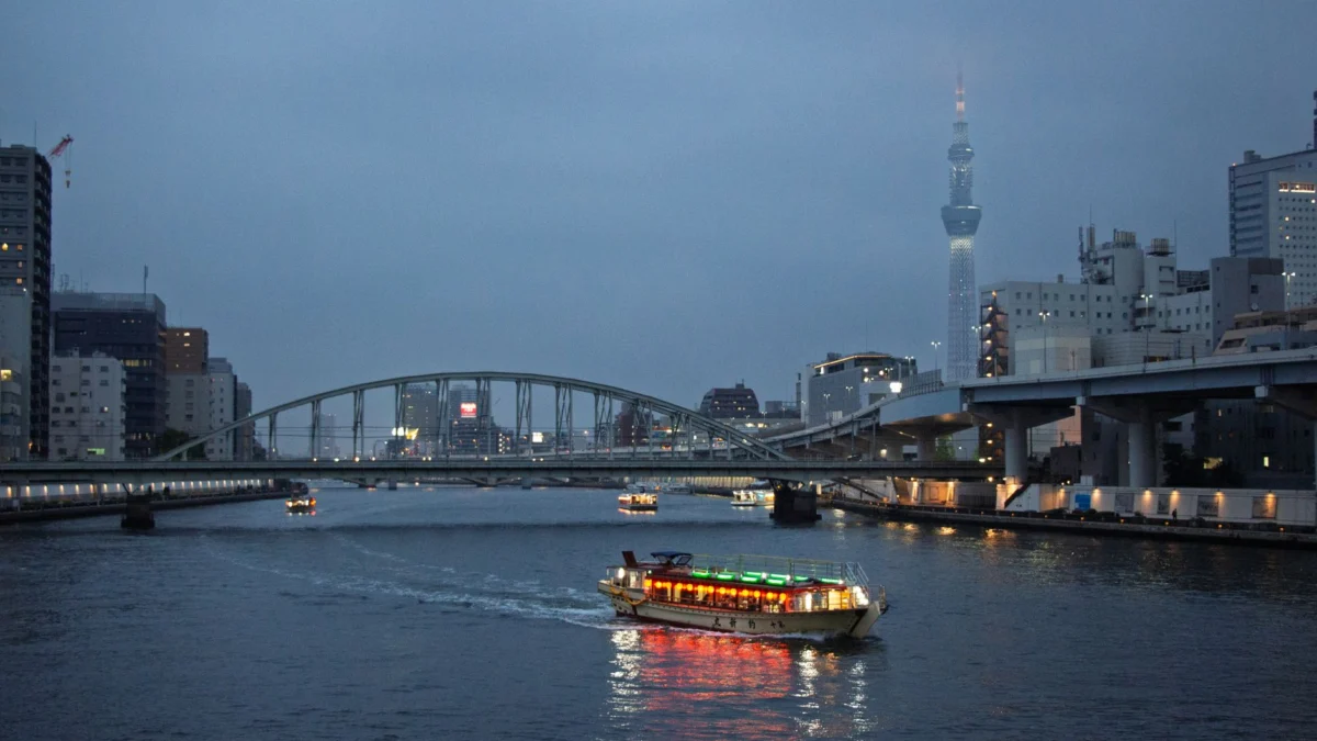 Scenic view of Nara's skyline at sunset with iconic landmarks