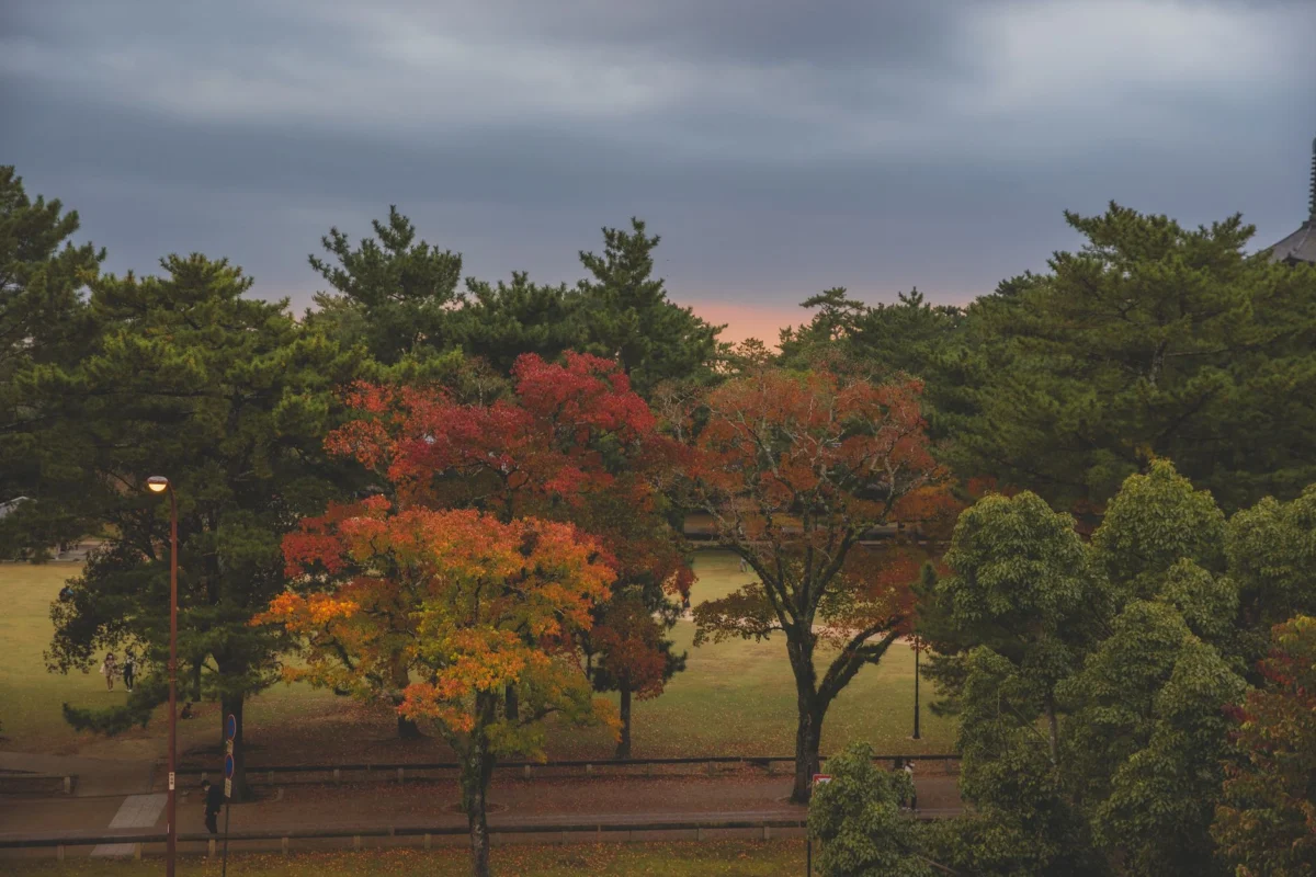 Nara skyline at sunset capturing the vibrant night ambiance