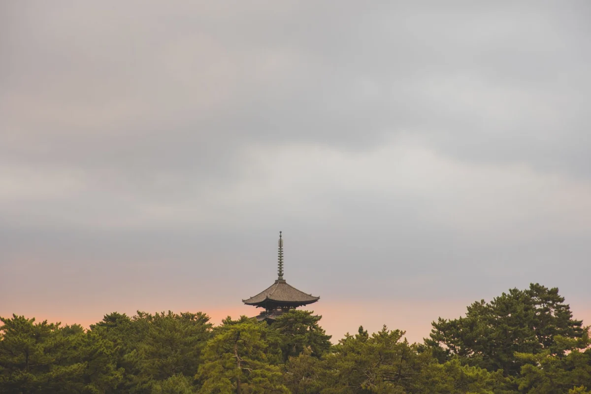 View of a temple at sunset in Nara, Japan