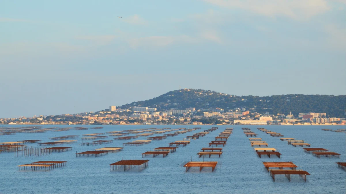Panoramic view of Noumea with its iconic lagoon and skyline