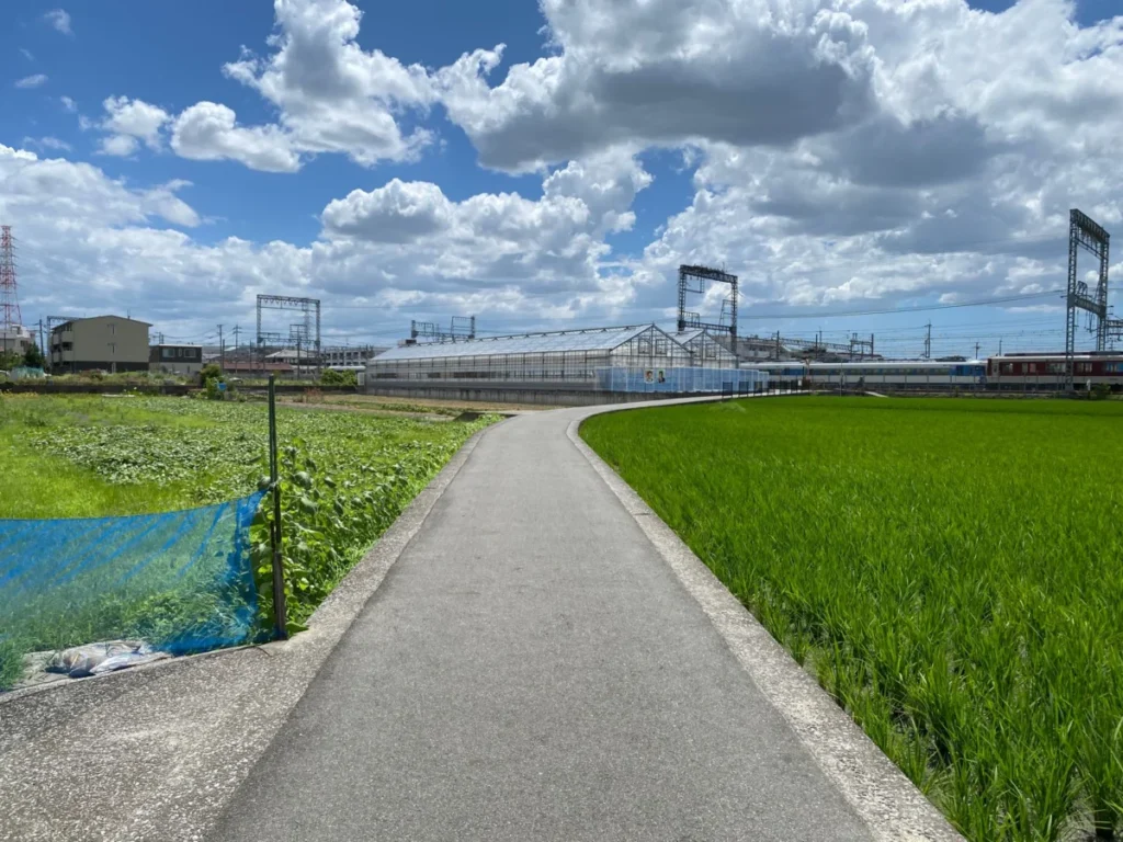 Obitoke