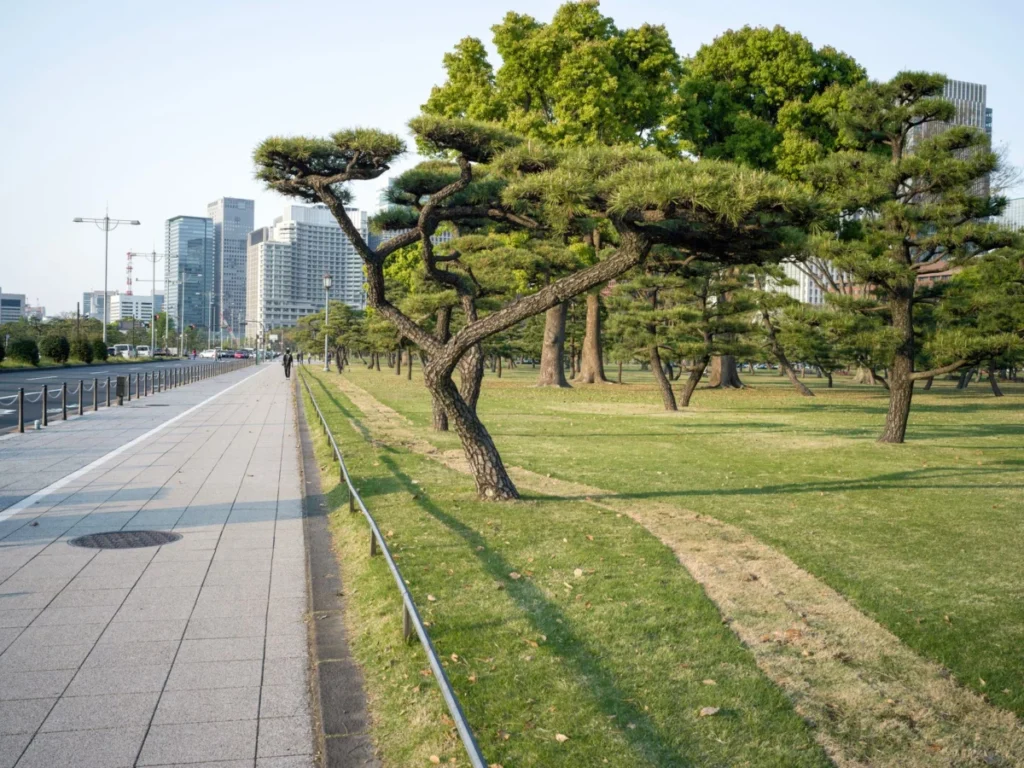 Odori Park (Odori Koen)