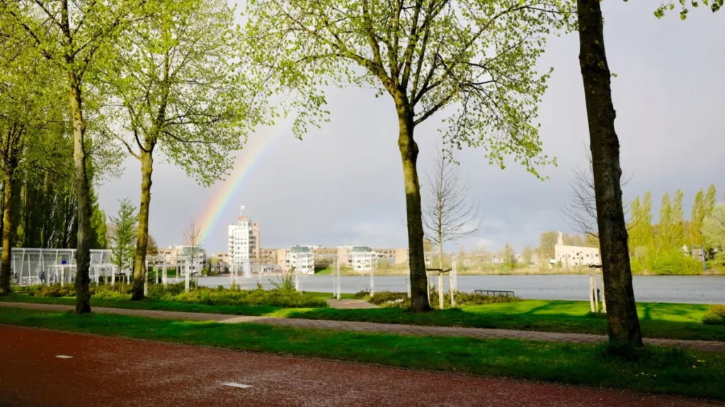 Oog in Al