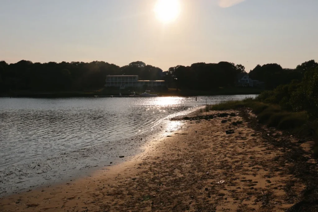 Oyster Bay