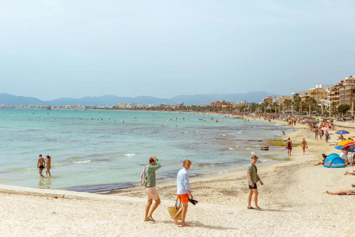 Scenic view of Palma de Mallorca skyline at sunset