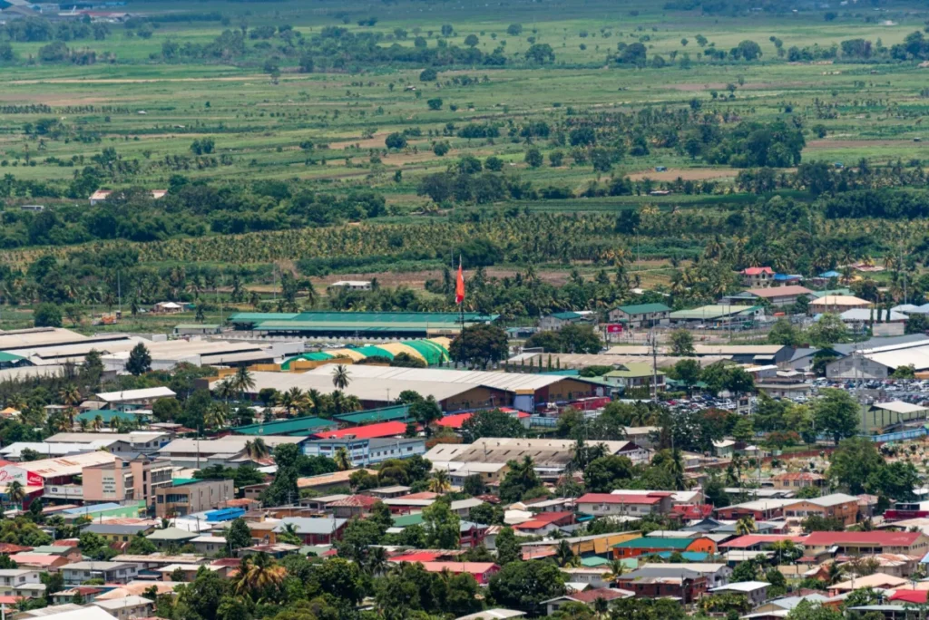 Panatina