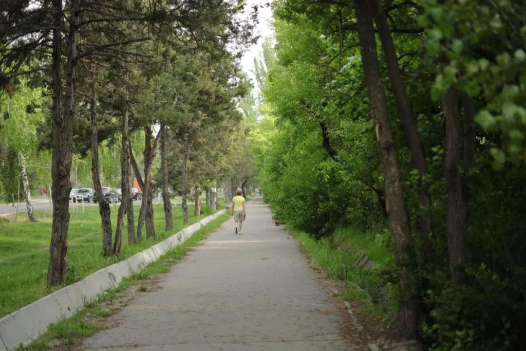 Panfilov Park