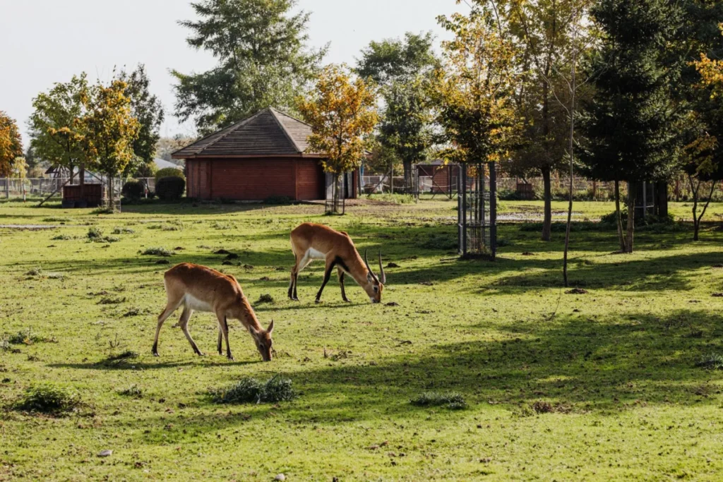 Pardisan Wildlife Park