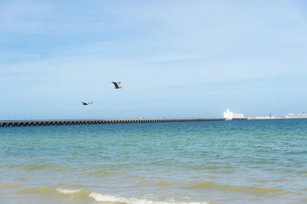 Paseo Marítimo