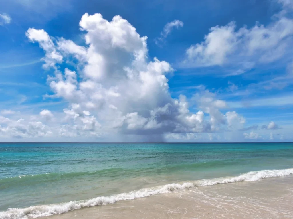 Paynes Bay