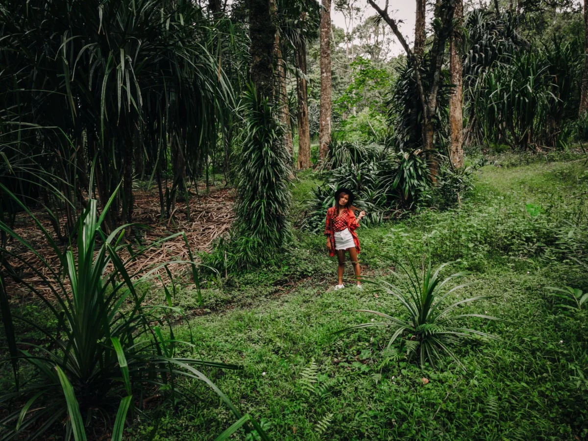 Adventurous activities and scenic views in Peleliu
