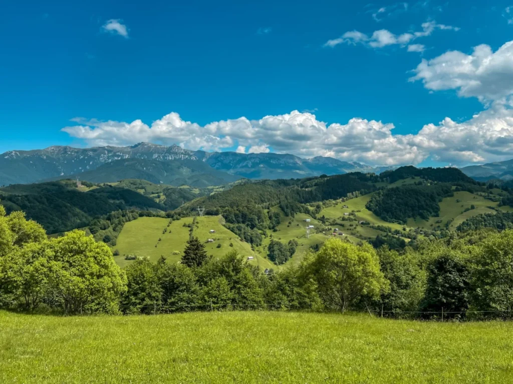Piatra