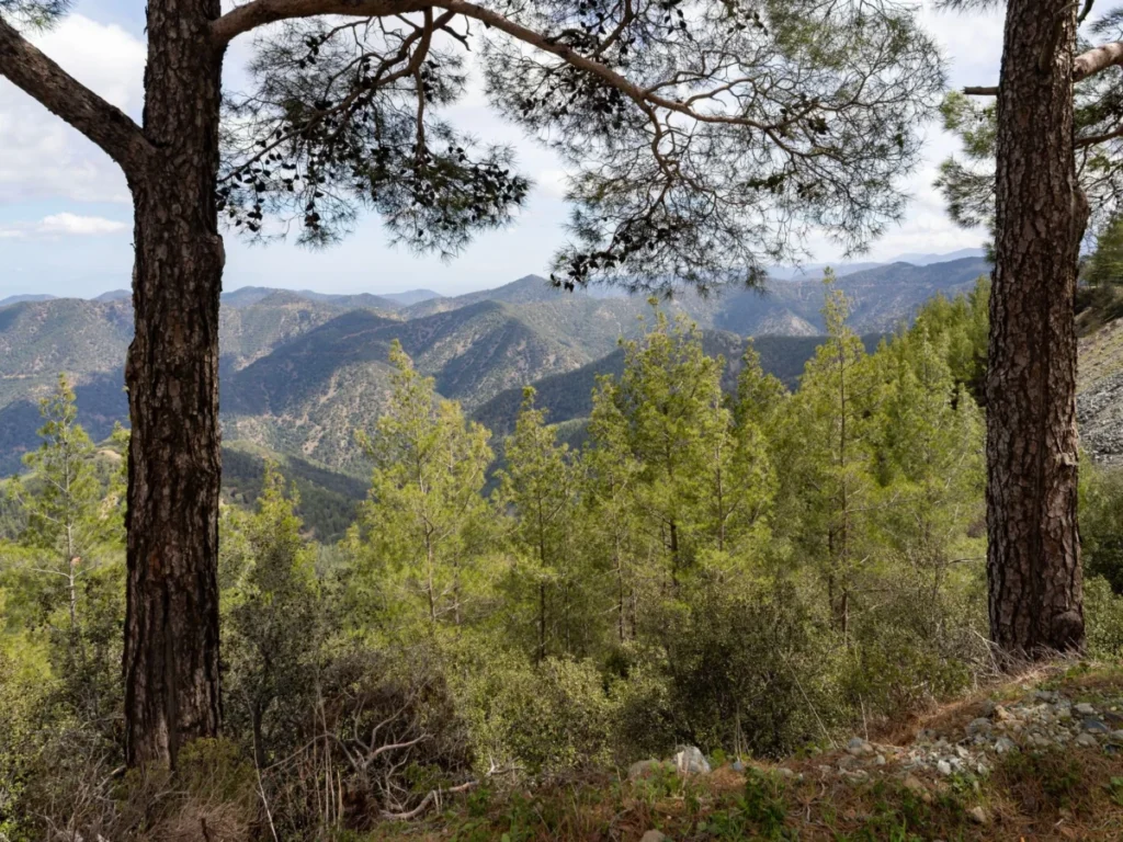 Platres (Πλάτρες)