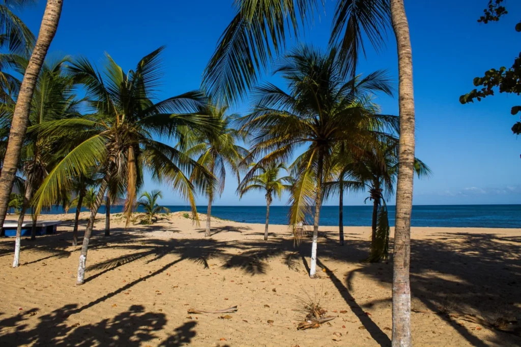 Playa Rincon
