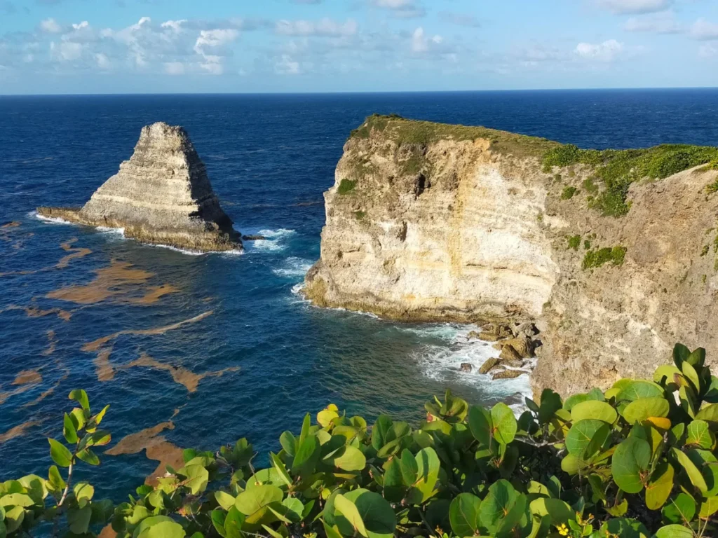 Pointe Michel