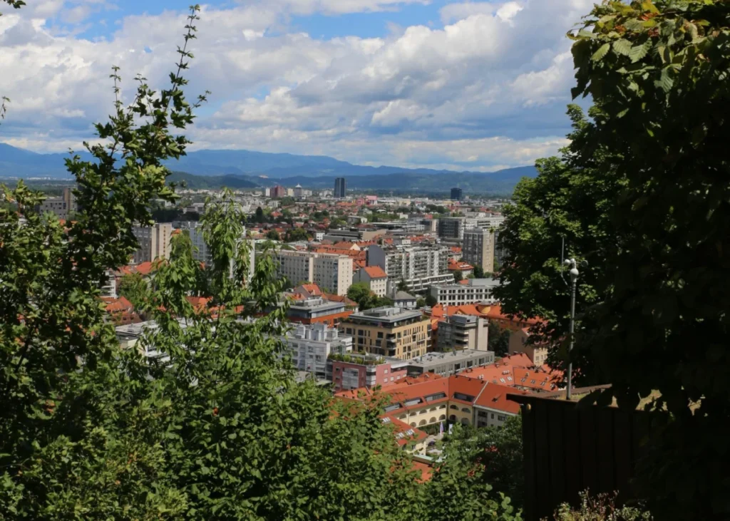 Polje