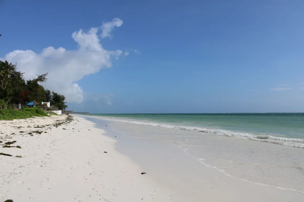 Pongwe