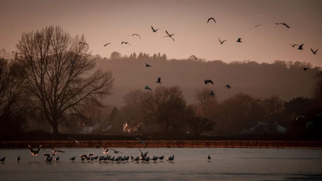 Port Meadow