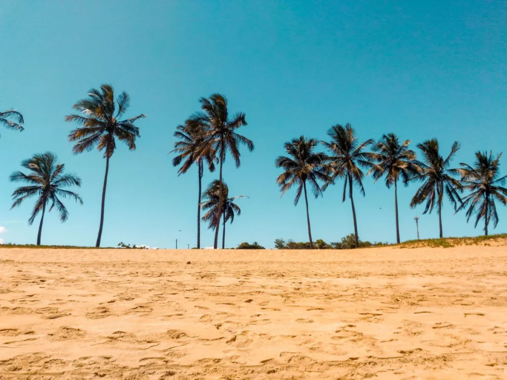 Praia do Tofo