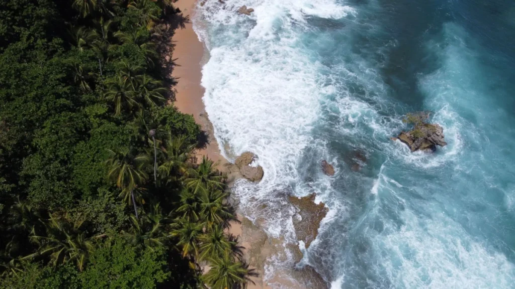 Punta Uva