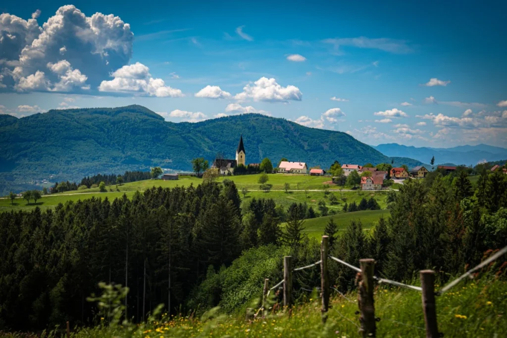 Rakitnica