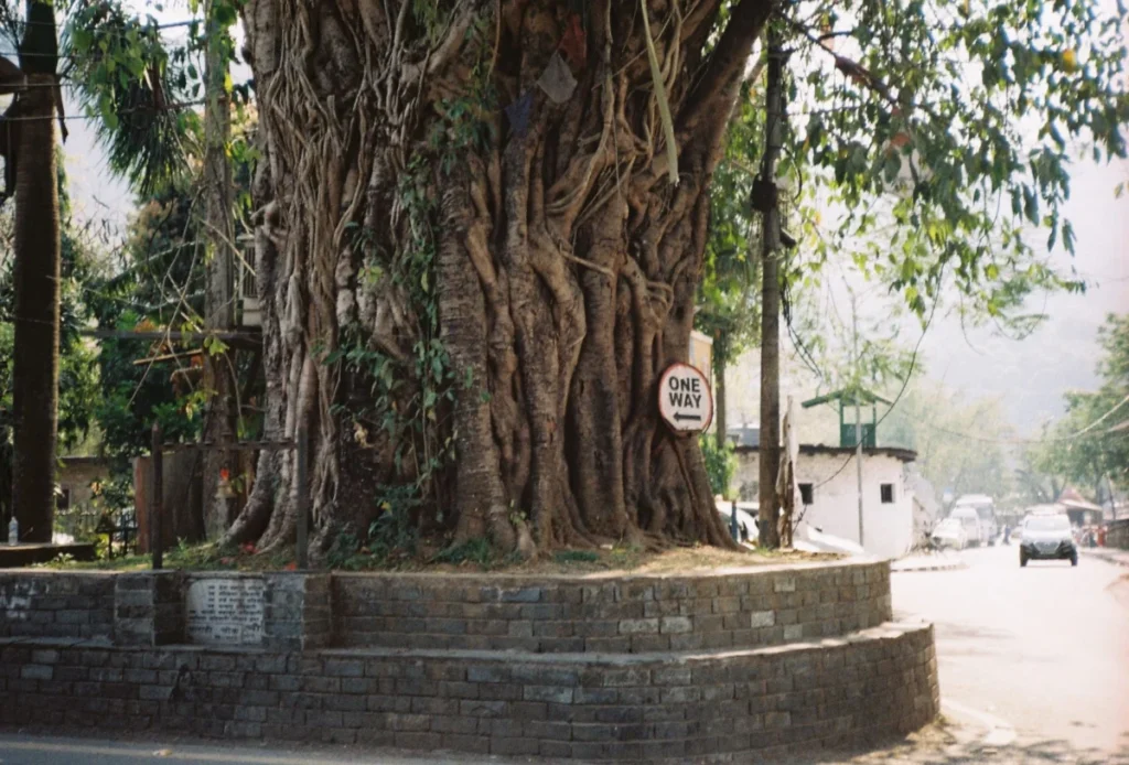 Raniban (Raniban Forest)