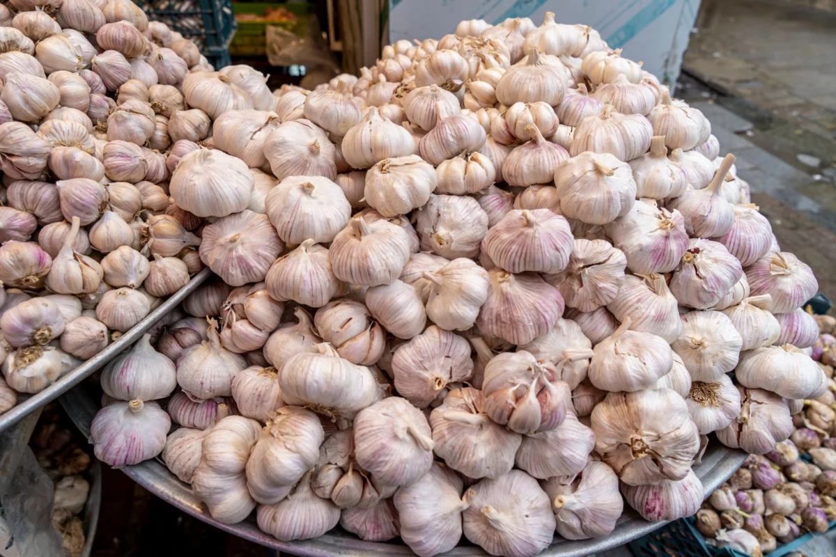 Colorful food market in Rasht, showcasing local delicacies