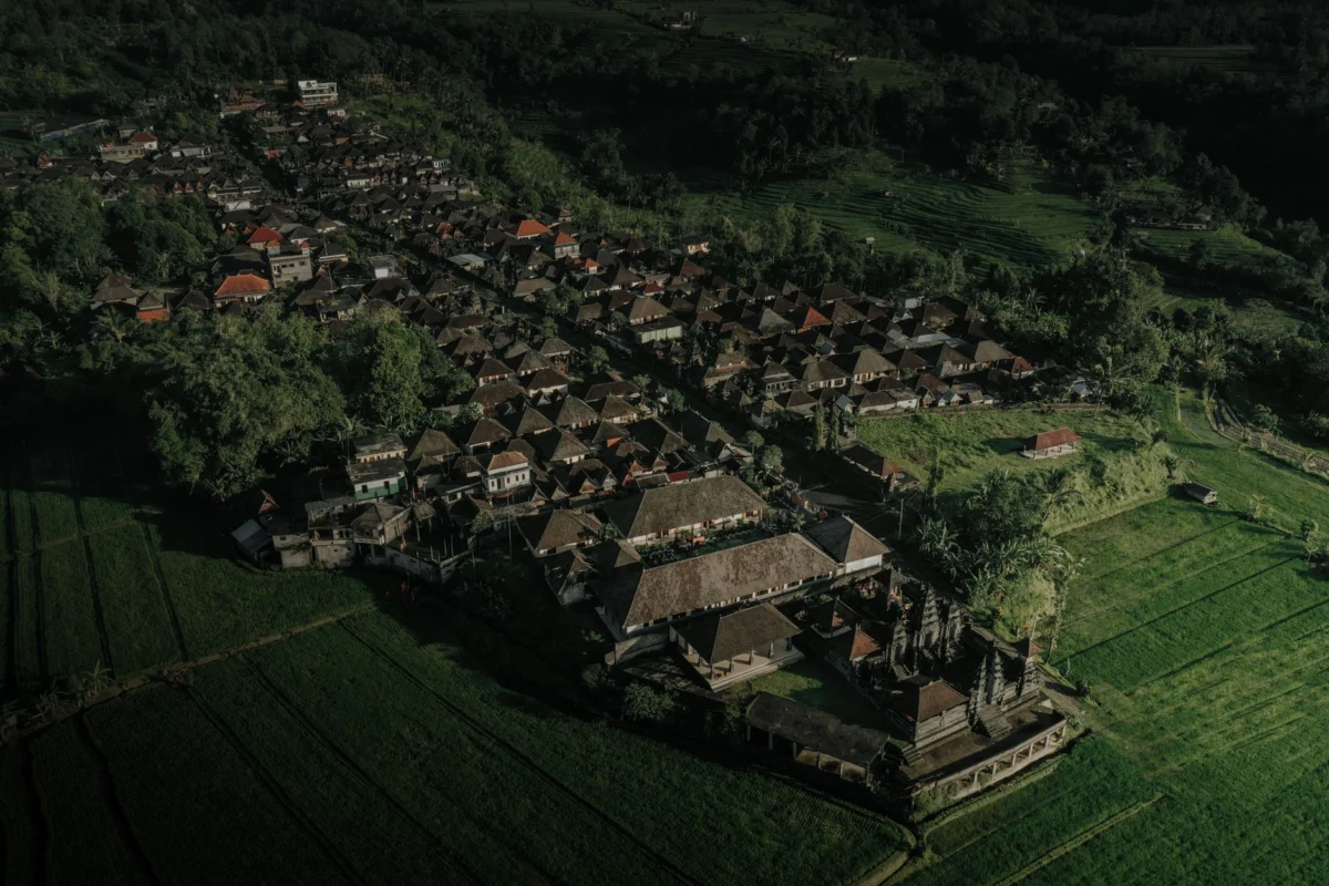 A romantic view of Ubud's serene landscape