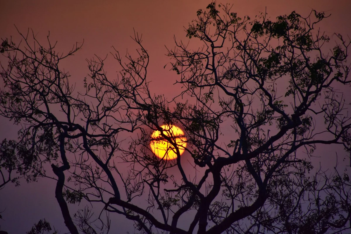 Scenic sunset view over Victoria Falls, ideal for romantic getaways