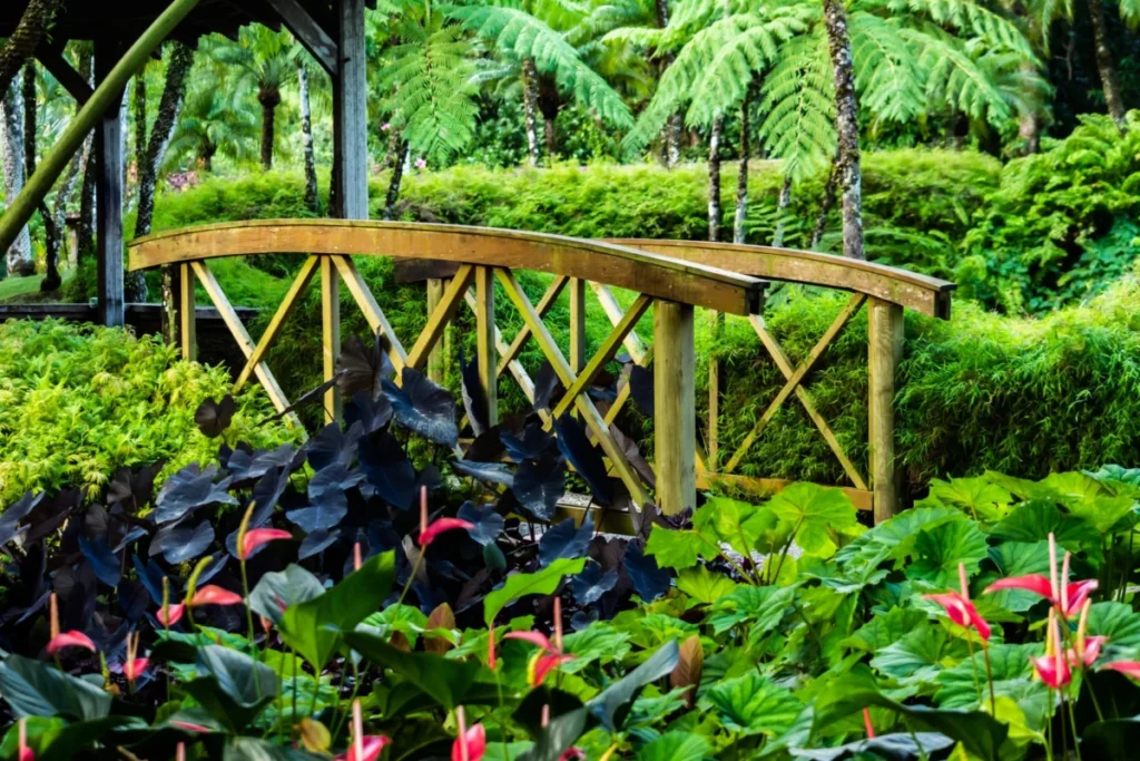Botanical Gardens