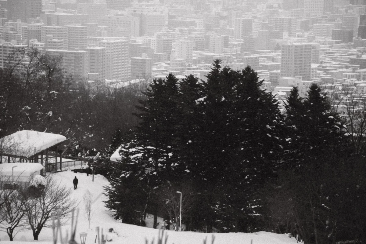 Romantic view of Sapporo skyline at dusk