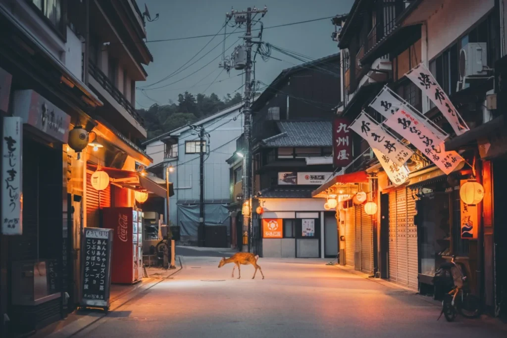 Shirakami (白神地区)