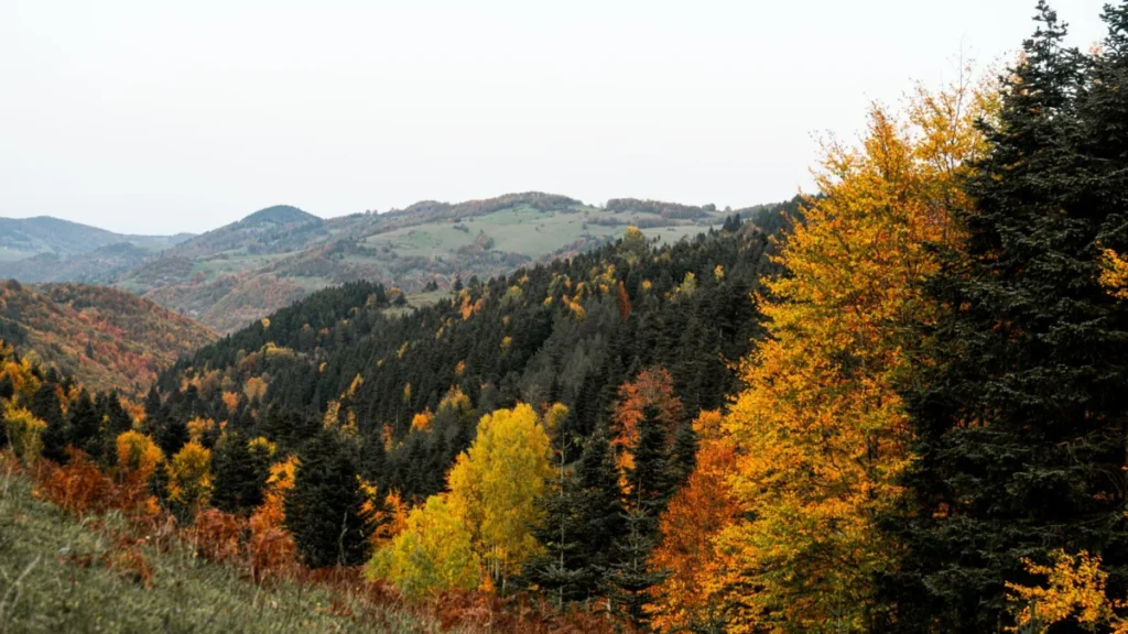 Shkorpilovtsi