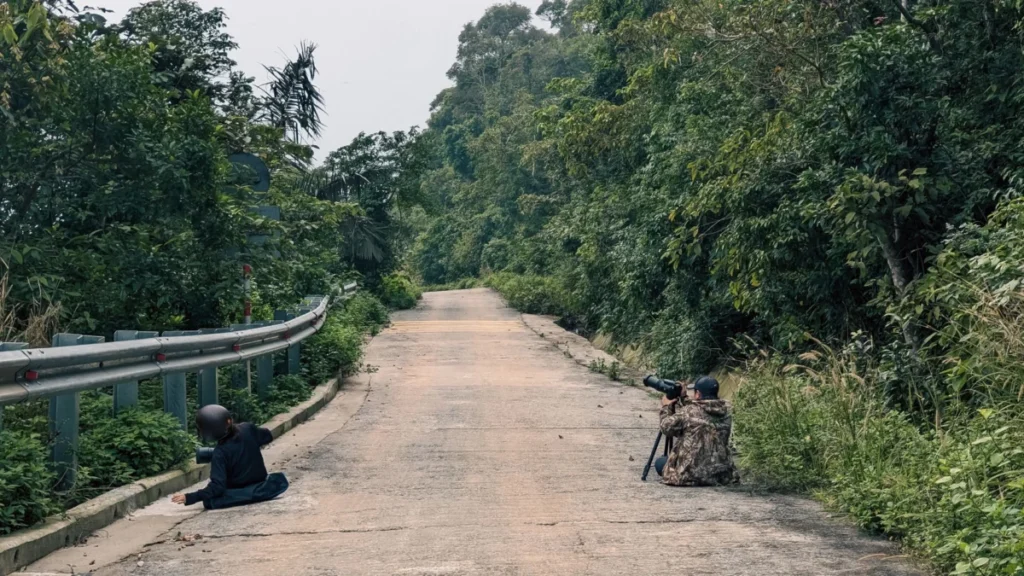Son Tra Peninsula (Sơn Trà)