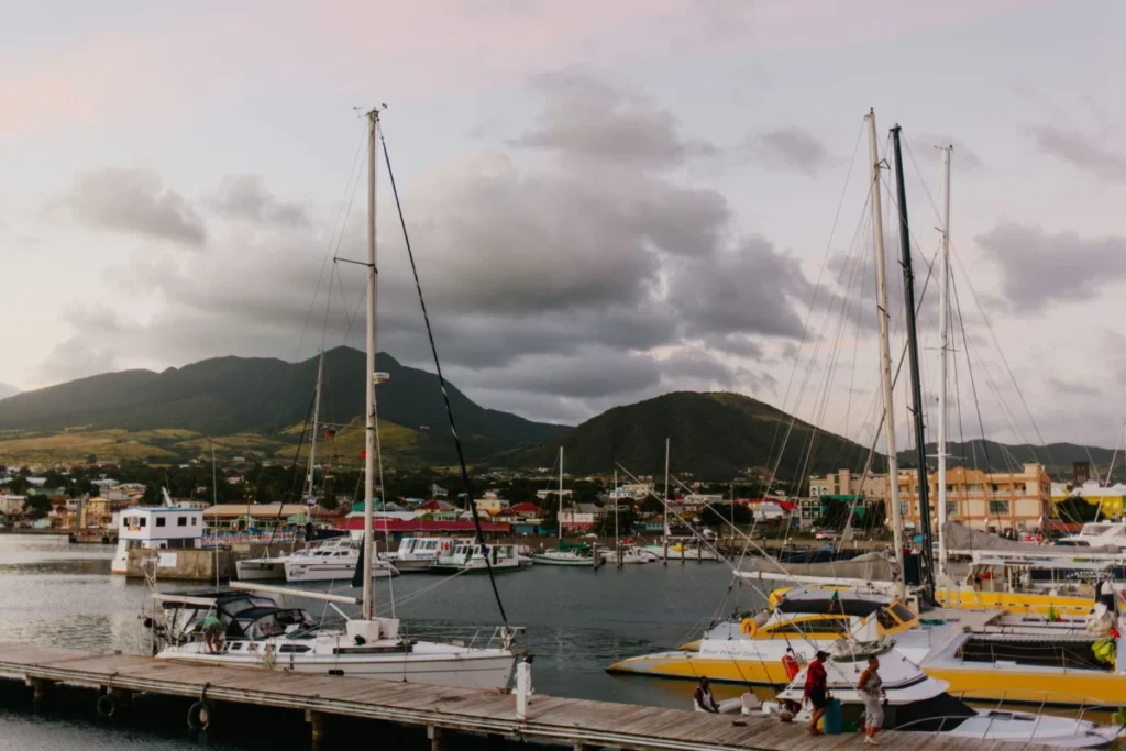 Stoney Grove (Nevis)