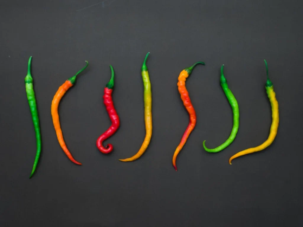 Suçons
