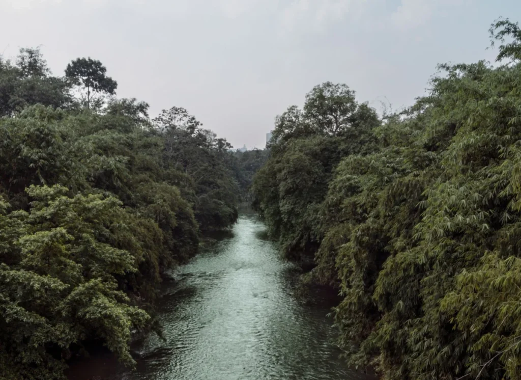 Sungai Liang