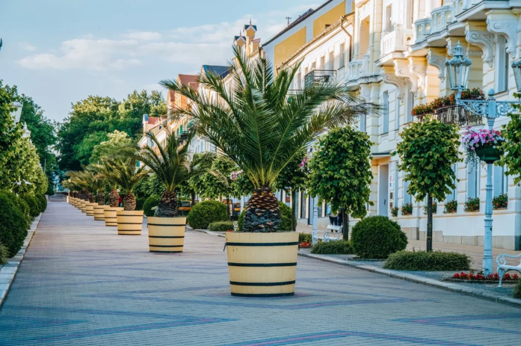 Sunny Beach (Слънчев бряг)