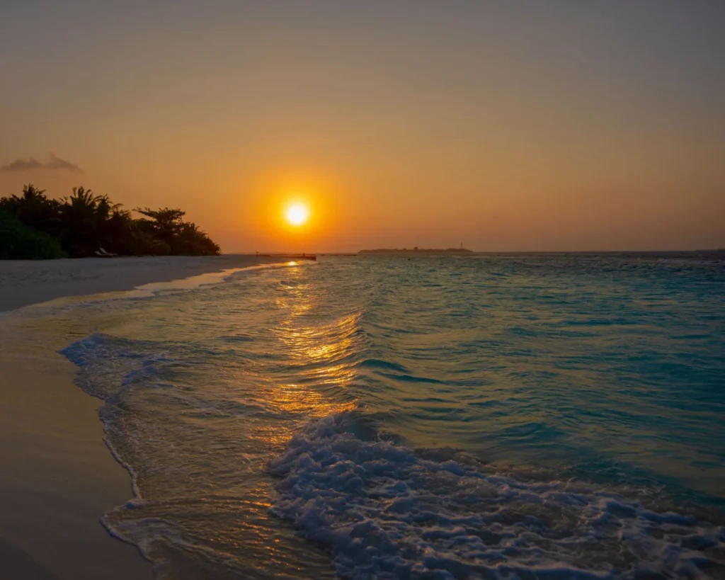 Sunset Shoreline