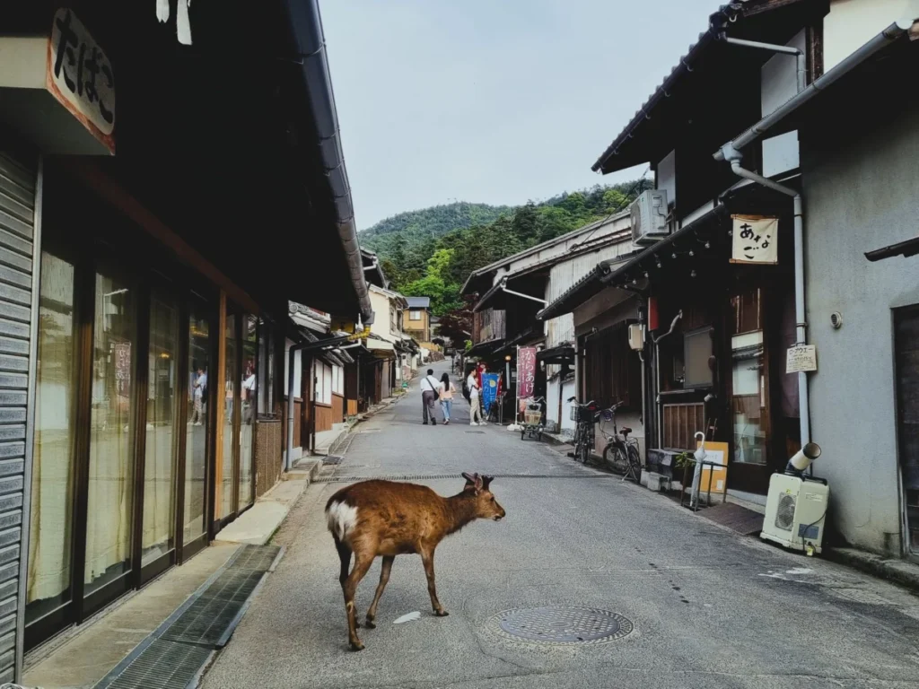 Tawaramoto